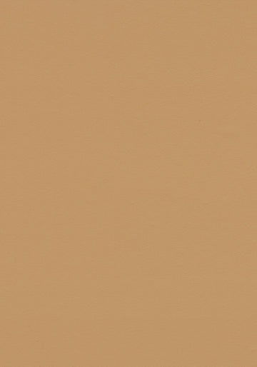 Forbo Linoleum leather