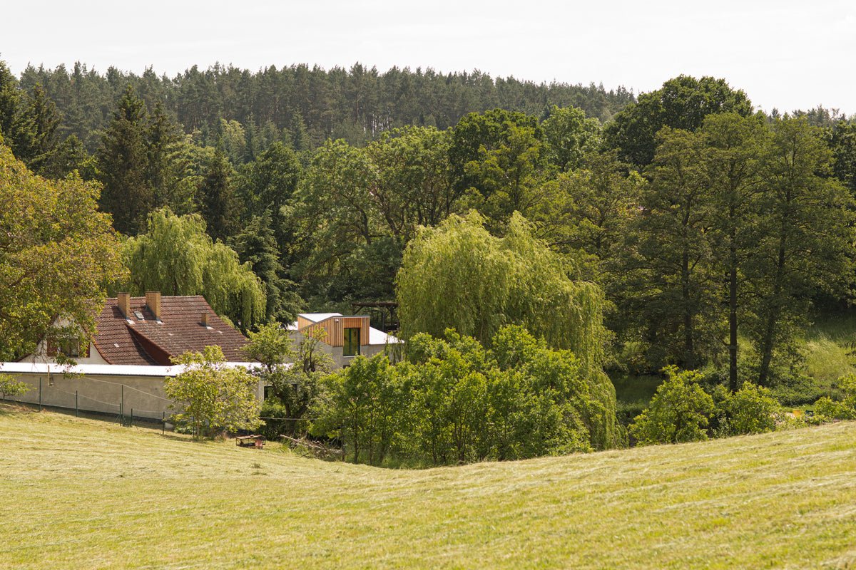Linoleumküche Pistacchio und Lärche im Raum – BARTMANN